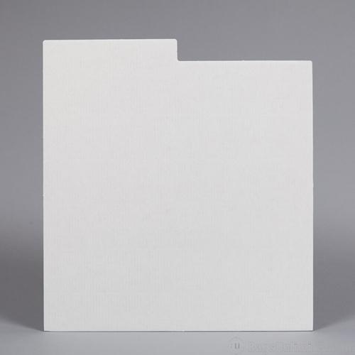 Poly Inner Sleeve for 12 inch Records - Pack of 100