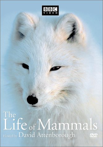 The Life of Mammals, Vol. 2 [Import]