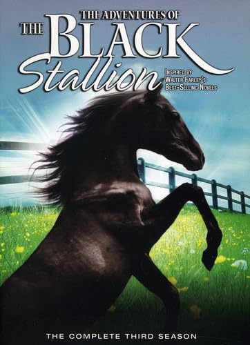 The Adventures of the Black Stallion: Season 3 - DVD