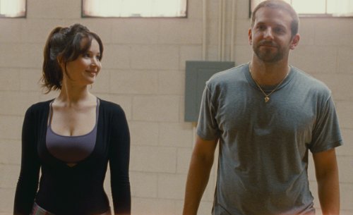 Silver Linings Playbook - DVD