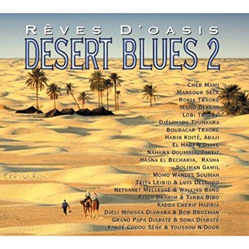 Desert Blues 2: Rêves D&