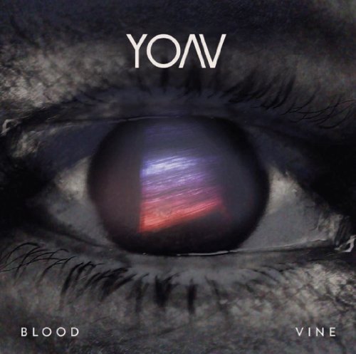 Yoav / Blood Vine - CD (Used)