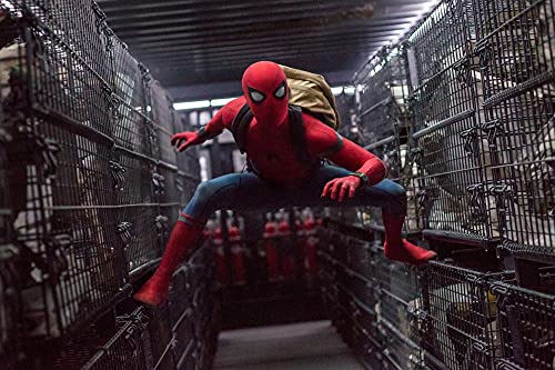 Spider-Man: Homecoming - DVD