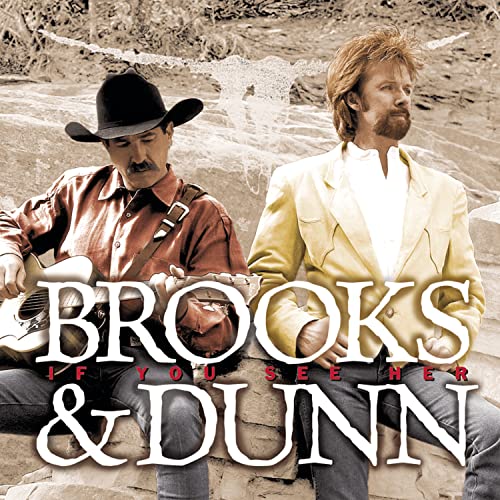 Brooks & Dunn / If You See Her - CD (Used)