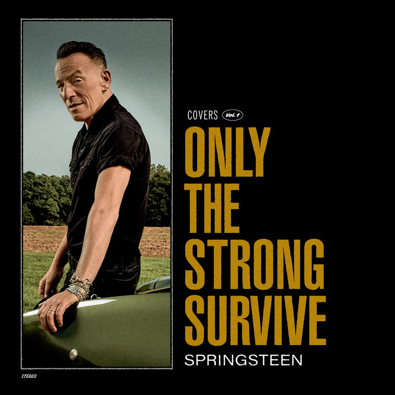 Bruce Springsteen / Only The Strong Survive - CD