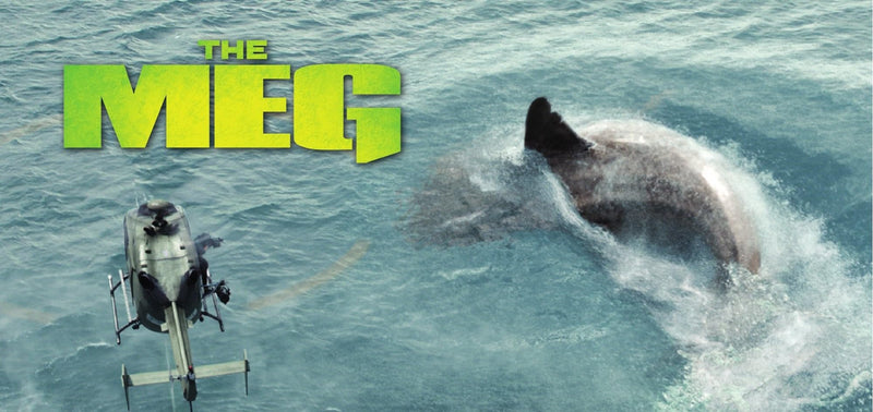 The MEG - 4K