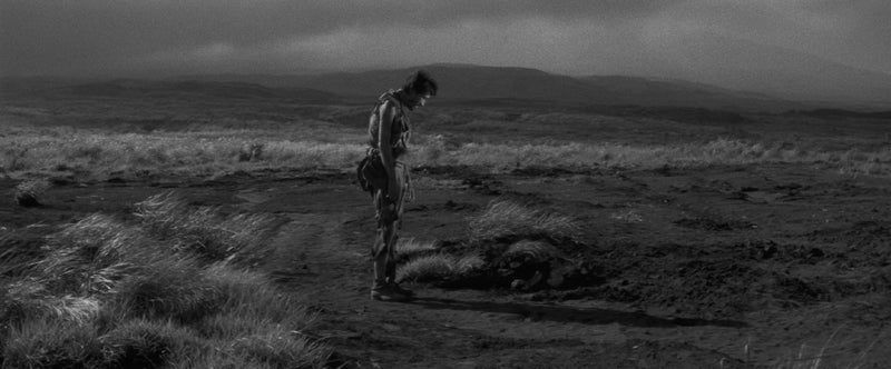 Fires On The Plain (The Criterion Collection) - 4K