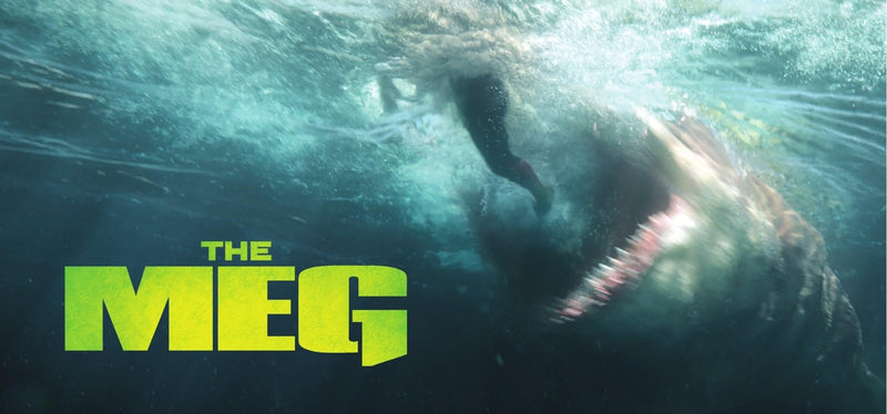 The MEG - 4K