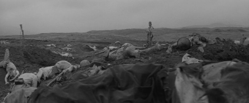 Fires On The Plain (The Criterion Collection) - 4K