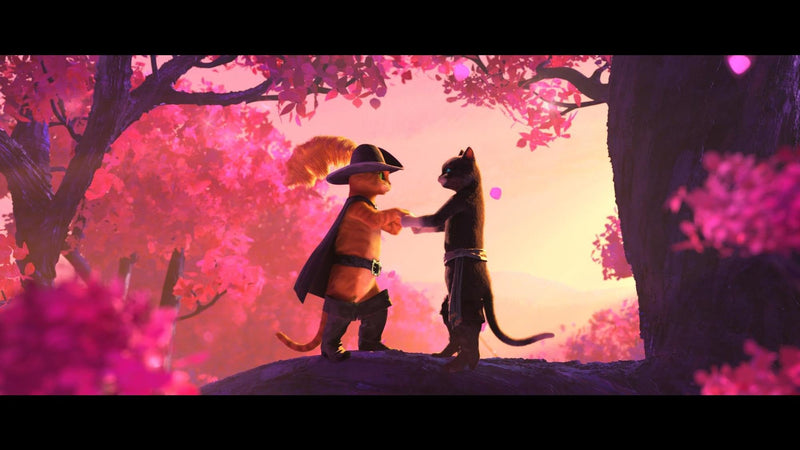 Puss in Boots: The Last Wish (Collector&