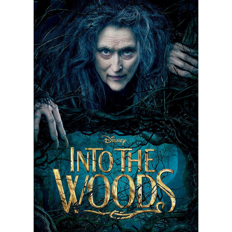 Into the Woods - DVD (Used)