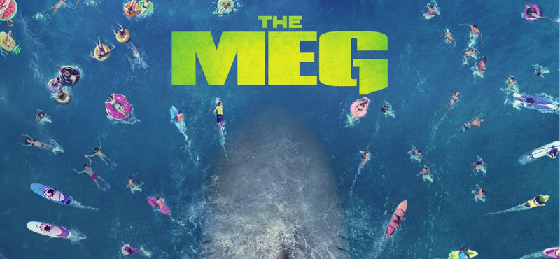The MEG - 4K