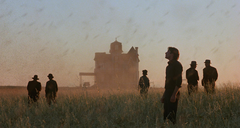 Days Of Heaven (The Criterion Collection) - 4K