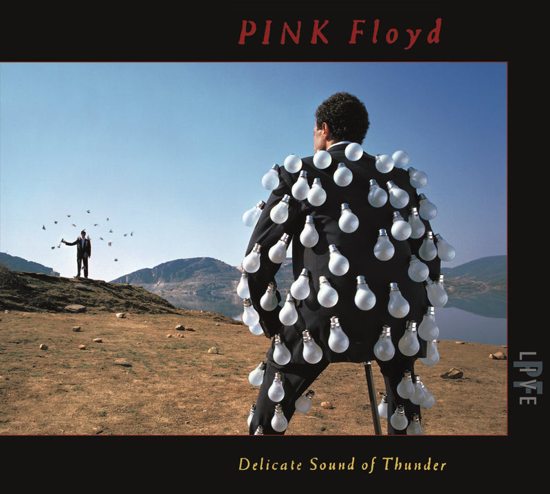 Pink Floyd / Delicate Sound Of Thunder (Live) - CD