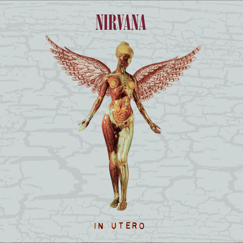 Nirvana / In Utero (30th Anniversary) - CD