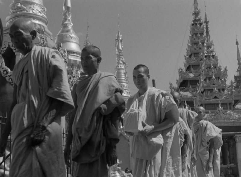 The Burmese Harp (The Criterion Collection) - 4K