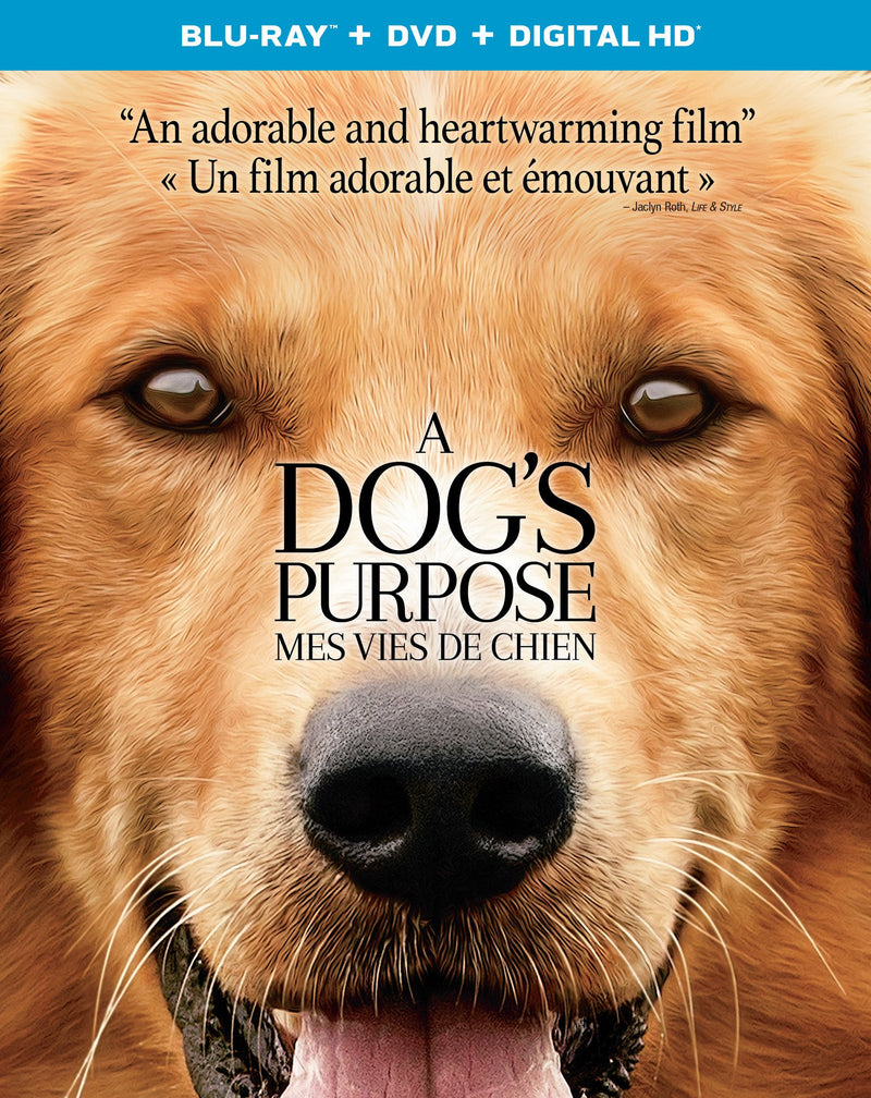 A Dog’s Purpose [Blu-ray + DVD + HD] (Bilingual)