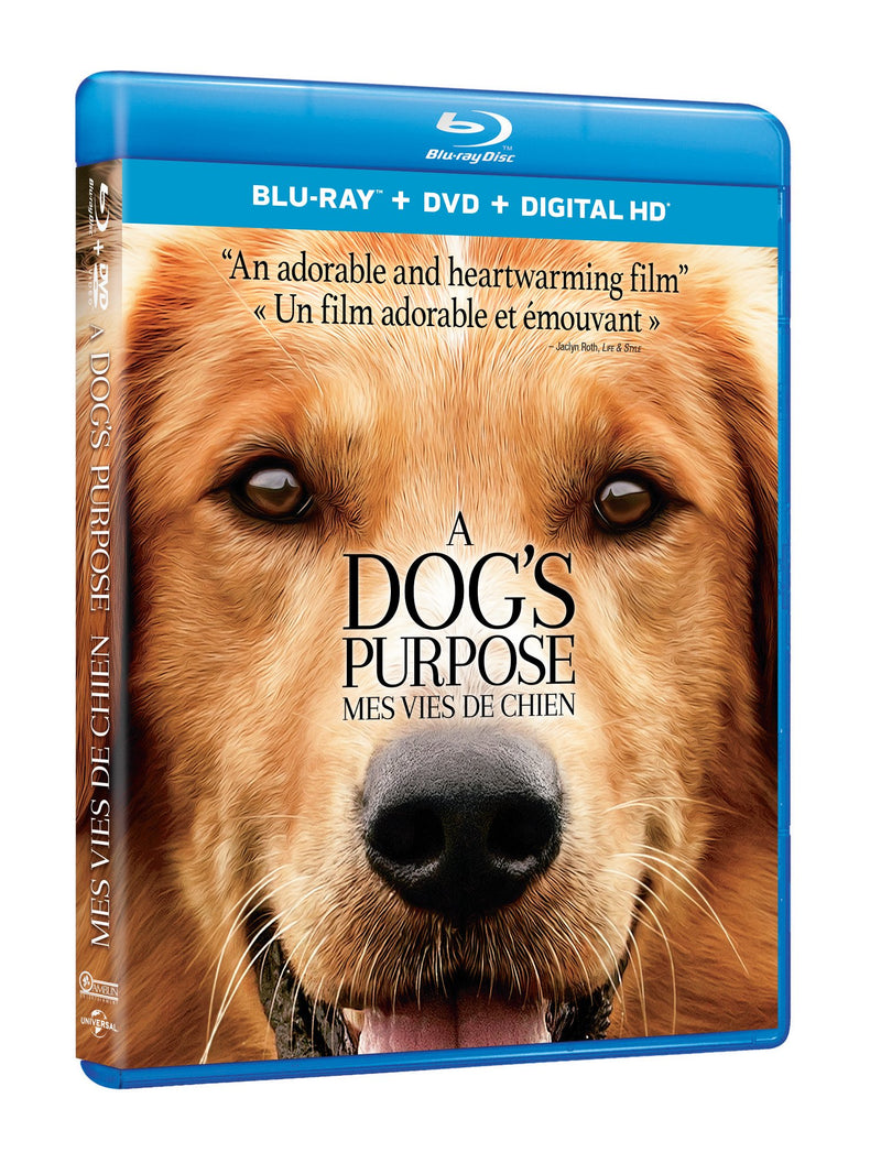 A Dog’s Purpose [Blu-ray + DVD + HD] (Bilingual)