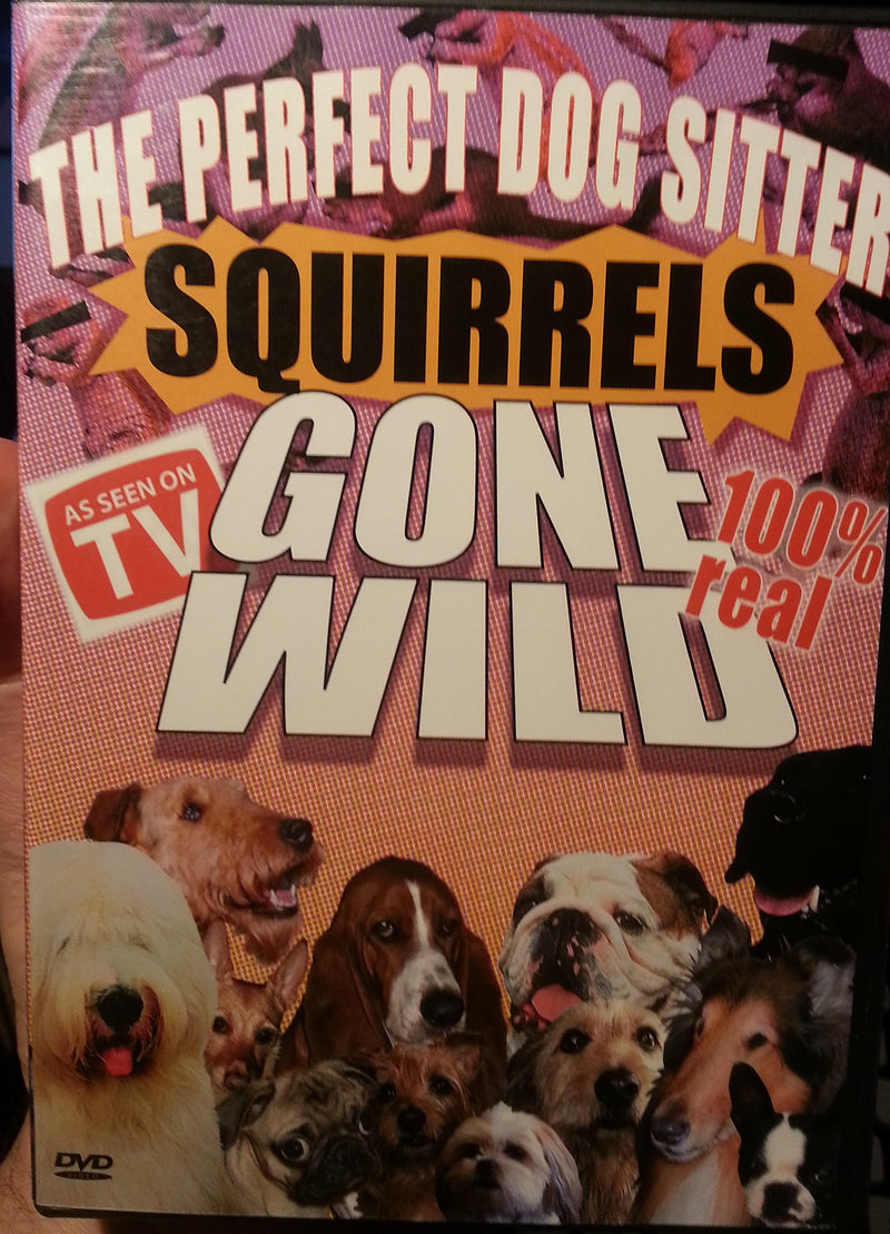 Squirrels Gone Wild