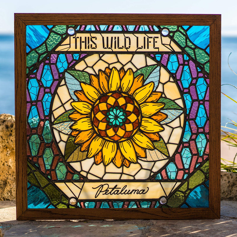 This Wild Life / Petaluma - CD