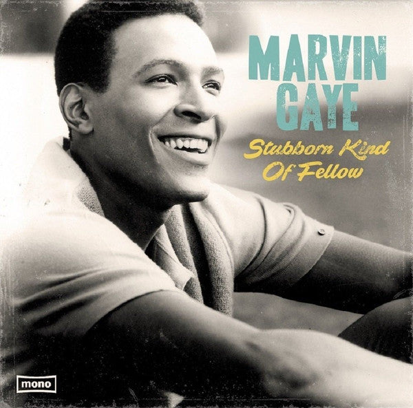 Marvin Gaye / Stubborn Kind Of Fellow - LP coin abimé