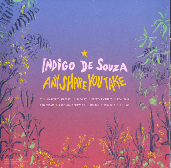 Indigo De Souza / Any Shape You Take - LP TANGERINE