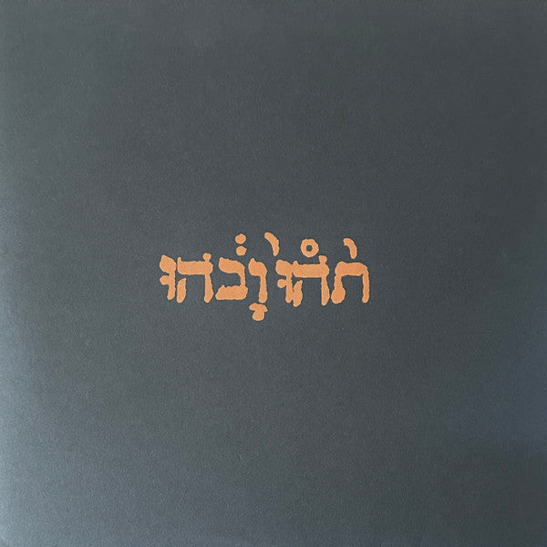 Godspeed You Black Emperor! / Slow Riot For New Zero Kanada E.P. - LP