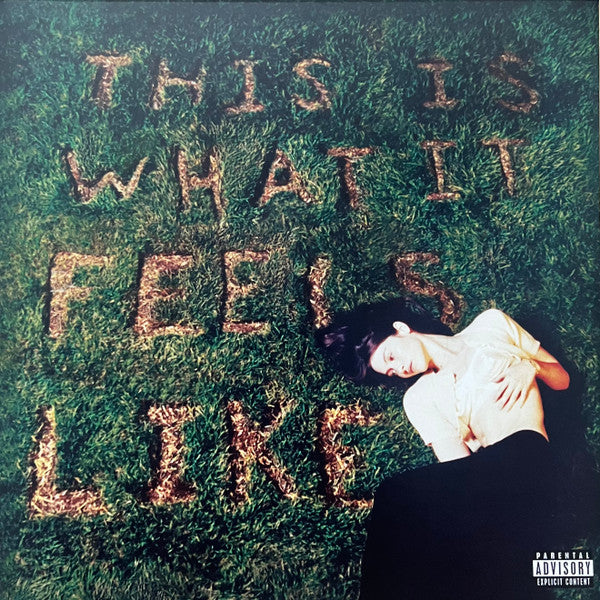 Gracie Abrams / This Is What It Feels Like - LP