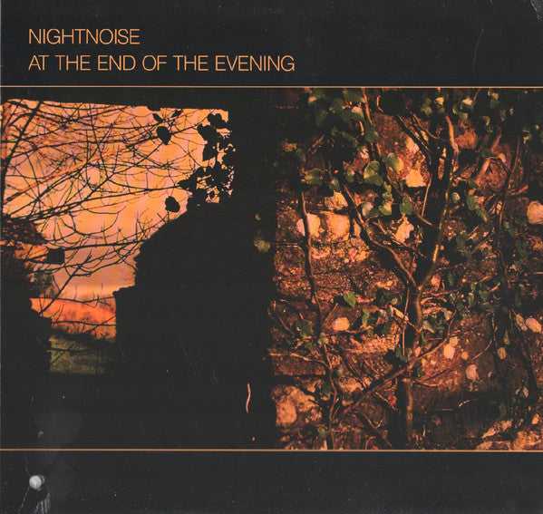 Nightnoise / At The End Of The Evening - LP Used