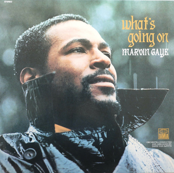 Marvin Gaye / What&