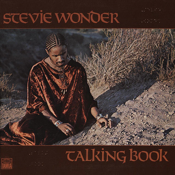 Stevie Wonder / Talking Book - LP Used