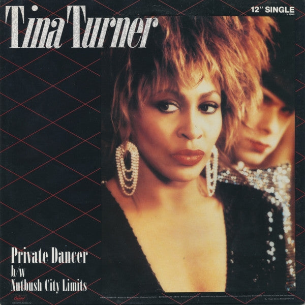 Tina Turner / Private Dancer - LP Used 12&