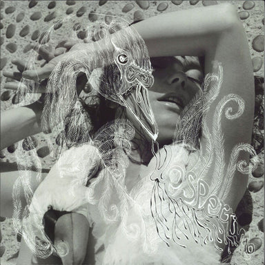 Bjork / Vespertine - CD (Used)