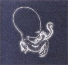 Sigur Ros / Agaetis Byrjun - CD (Used)