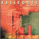 Kaliroots / Nothing to Lose - CD (Used)