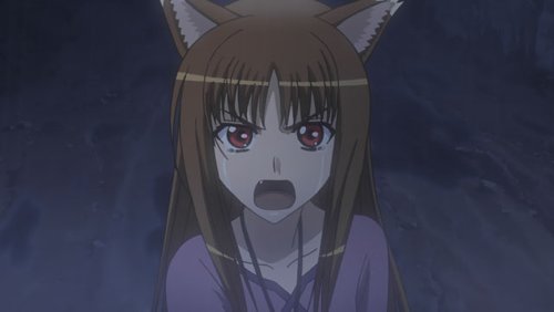 Spice and Wolf - Complete Series (Season 1 and 2) [Blu-ray + DVD]