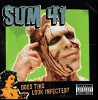 Sum 41 / Does This Look Infected - CD (Used)