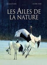 Les Ailes De La Nature (Version française)