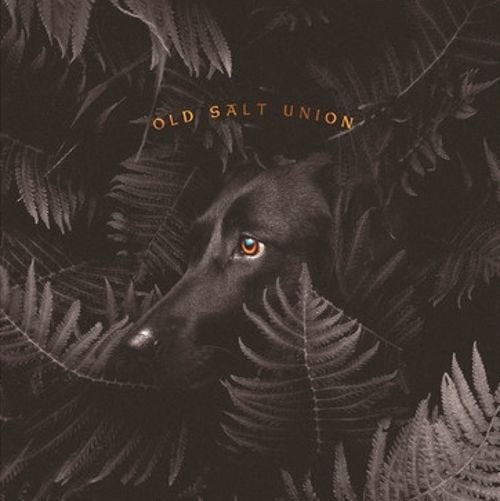Old Salt Union ‎/ Where The Dogs Don&