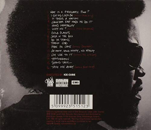 Ice Cube / RAW Footage - CD (Used)