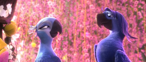 Rio 2 [Combo Blu-ray + DVD]