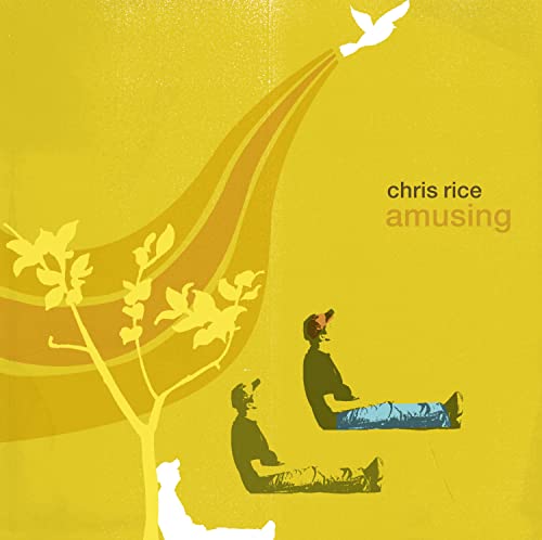 Chris Rice / Amusing - CD