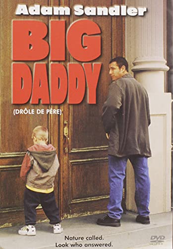 Big Daddy - DVD (Used)