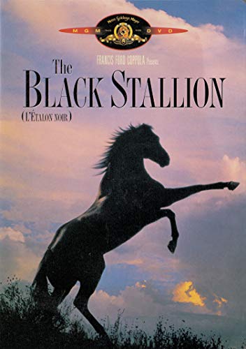 The Black Stallion - DVD (Used)