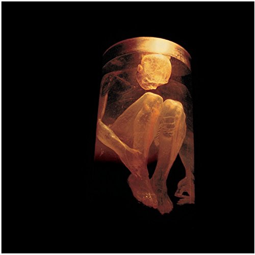 Alice In Chains / Nothing Safe: The Best Of The Box - CD (Used)