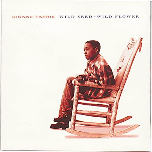 Dionne Farris / Wild Seed Wild Flower - CD (Used)