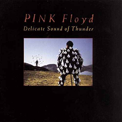 Pink Floyd / Delicate Sound Of Thunder - CD (Used)