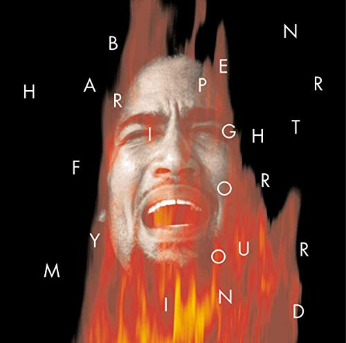 Ben Harper / Fight For Your Mind - CD (Used)
