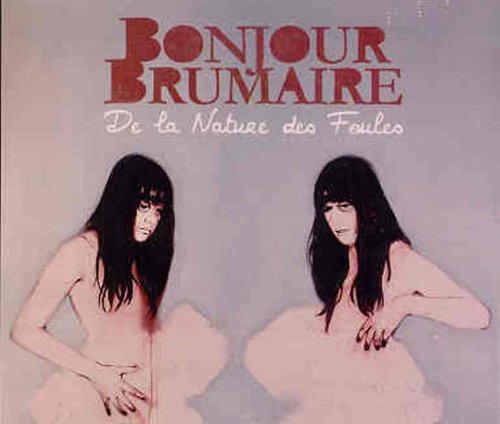 Hello Brumaire / From The Nature Of The Crowds - CD (Used)