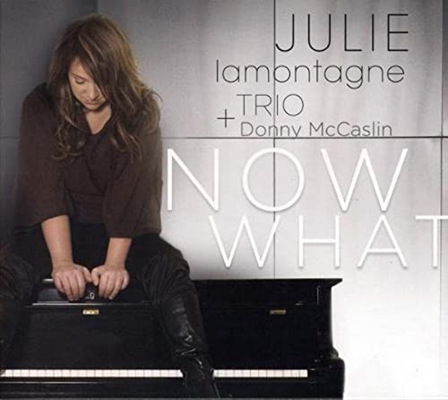 Julie Lamontagne Trio / Now What - CD (Used)